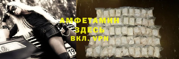 мдпв Верея