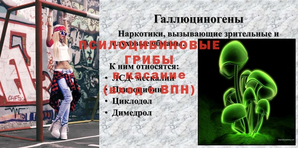 гидра Верхнеуральск
