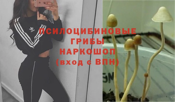 гидра Верхнеуральск