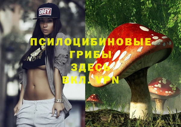 мдпв Верея