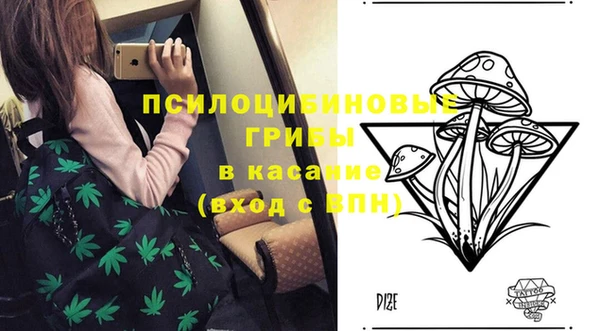 гидра Верхнеуральск