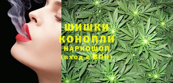 хмурый Верхний Тагил