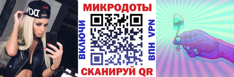 Галлюциногенные грибы Psilocybe  где купить наркоту  Новохопёрск 