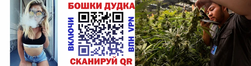 ОМГ ОМГ ссылка  Новохопёрск  Бошки Шишки THC 21% 